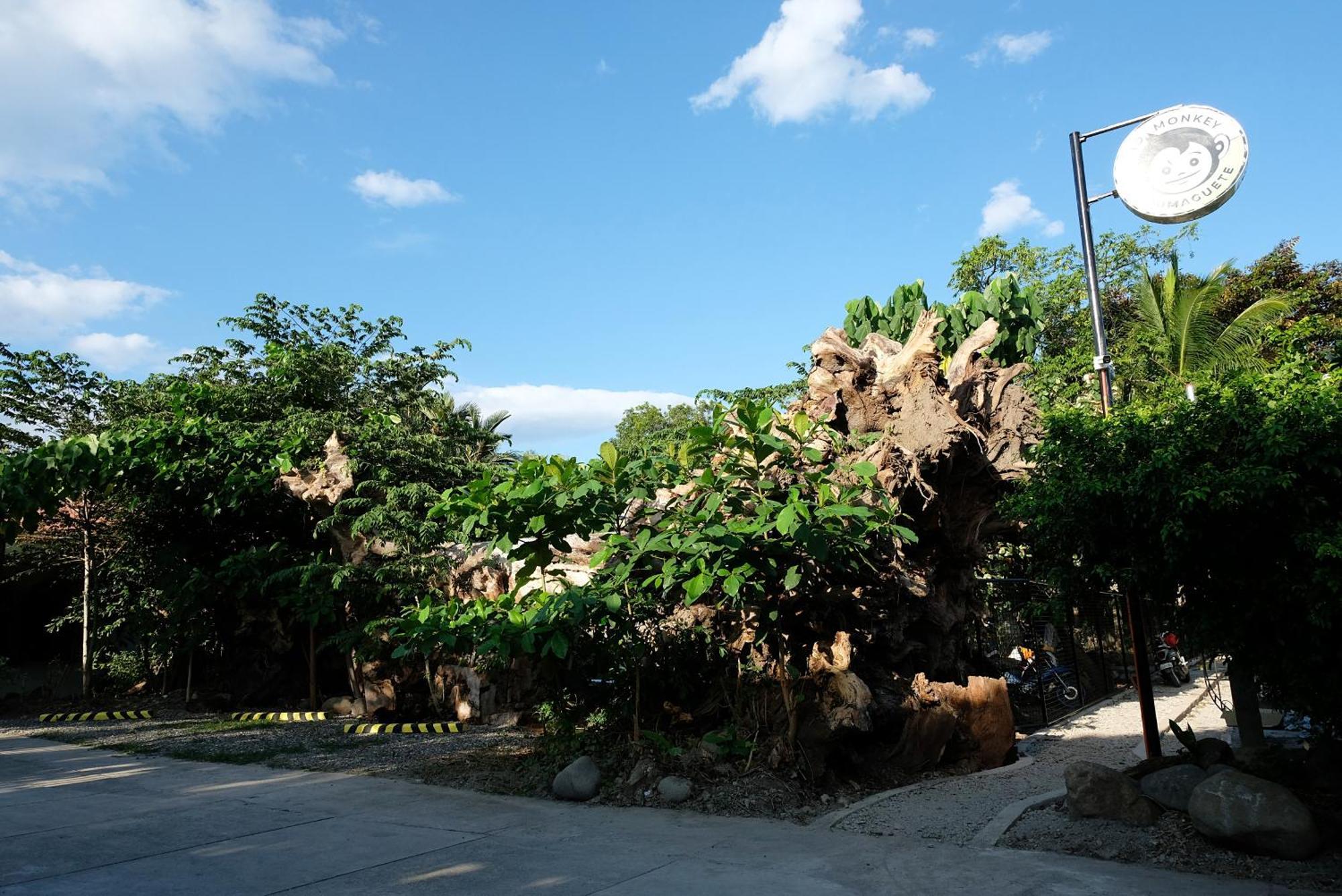 Mad Monkey Dumaguete Hostel Dumaguete City Ngoại thất bức ảnh
